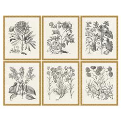 Amanda French Country Black Floral Multipanel Illustration