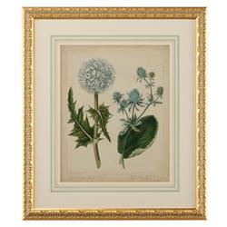 Kiana French Country Cottage Florals III Gold Leaf Frame Illustration