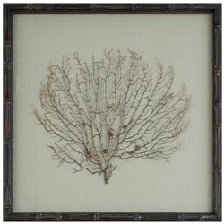 Bandon Coastal Beach Sea Fan Green Linen Nature Brown Frame Mixed Media