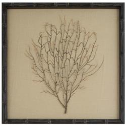 Bandon Coastal Beach Sea Fan Brown Linen Nature Brown Frame Mixed Media