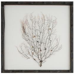 Bandon Coastal Beach Sea Fan White Linen Nature Brown Frame Mixed Media