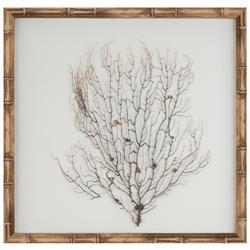 Bandon Coastal Beach Sea Fan Nature Brown Frame Mixed Media - Oyster White
