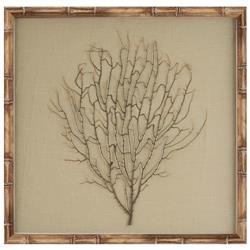 Bandon Coastal Beach Sea Fan Nature Brown Frame Mixed Media - Beige