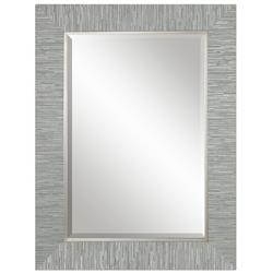 Landen Modern Classic Silver Stripe Beveled Wall Mirror