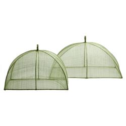 Rachel Green Woven Sinamay Rectangular Serveware Food Cover - Set of 2