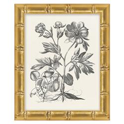 Amanda French Black Floral &amp; Botanical Gold Frame Illustration 2 - 11x9