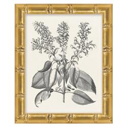 Amanda French Black Floral & Botanical Gold Frame Illustration 5 - 11x9