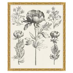 Amanda French Black Floral &amp; Botanical Gold Frame Illustration 3 - 26x22