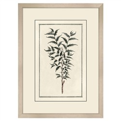 Gael Traditional Green Botanical Silver Frame Illustration 1 - 39x29