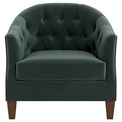 Willa Lagoon Performance Velvet Chair