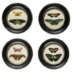 Verity Traditional Green Butterfly Black Frame Multipanel Illustration - 10x10
