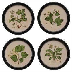 Anthea Traditional Green Botanical Black Frame Multipanel Illustration - 14x14