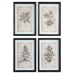 Cressida Traditional Grey Floral Black Frame Multipanel Illustration - 23x16