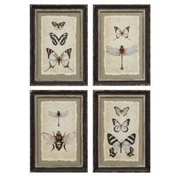 Seraphina Traditional Beige Insect Brown Frame Multipanel Illustration - 14x10