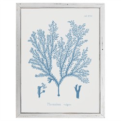 Gale Coastal Beach Blue Coral White Frame Illustration - 20x16