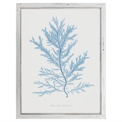 Iris Coastal Beach Blue Coral White Frame Illustration - 20x16