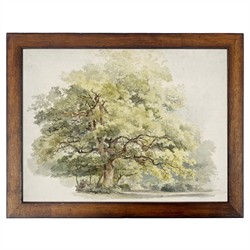 Lyra Traditional Green Tree Landscape Brown Walnut Frame Painting - 8x10