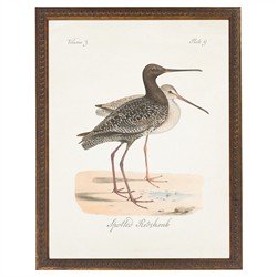 Serein Traditional Brown Redshank Bird Antique Gold Frame Painting - 16x12