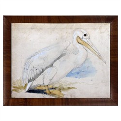 Soren Traditional White Pelican Brown Walnut Burl Frame Painting - 8x10