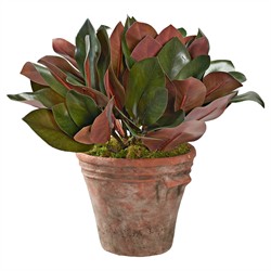 Dorian Updated Traditional Green Faux Magnolia Leaf Planter