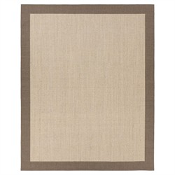 Rudo Coastal Beach Beige Sisal Border Rug - 5'x8'