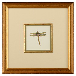 Astrid Updated Traditional Green Dragonfly Gold Frame Illustration I - 19x19