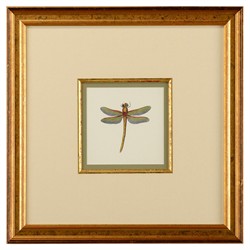 Astrid Updated Traditional Green Dragonfly Gold Frame Illustration II - 19x19