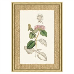 Mavis Updated Traditional Green Botanical Gold Frame Illustration 5 - 37x27