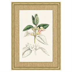 Mavis Updated Traditional Green Botanical Gold Frame Illustration 6 - 37x27