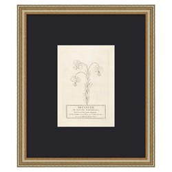 Sabine French Country Black Floral Antique Silver Frame Illustration - 20x17