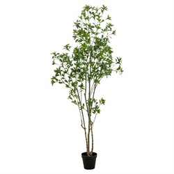 Bernice Updated Traditional Green Faux Pieres Potted Tree - 8'