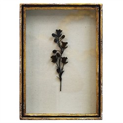 Ashwin French Country Black Floral Aged Gold Leaf Frame Mixed Media - 12x9