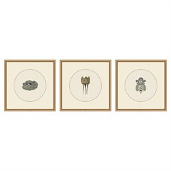Elora Emblum Blue Abstract Gold Frame Triptych Illustration