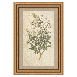 Delia French Country Green Wildflower Gold Frame Illustration - 16x11