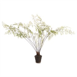Calum Traditional Green Maidenhair Drop In Faux Floral - 44"