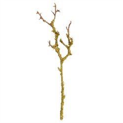 Loire French Country Green Faux Lichen Moss Branch - Set of 6