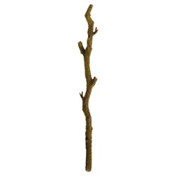 Zechariah Updated Traditional Green Faux Moss Branch - Set of 2
