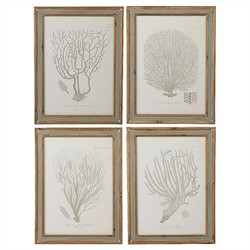 Arlene Costal Beach Grey Coral Brown Wood Frame Illustration - Set of 4