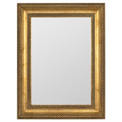 Alistair Updated Traditional Gold Rectangular Beveled Wall Mirror