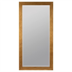 Vivienne Updated Traditional Antique Gold Rectangular Beveled Wall Mirror