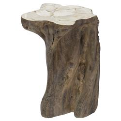 Palecek Chloe Rustic Fossilized Natural Tree Trunk Side End Table