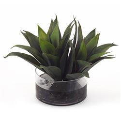 John-Richard Modern Classic Aqua Agave