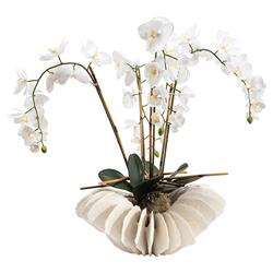 John-Richard Coastal Sea Coral Orchid