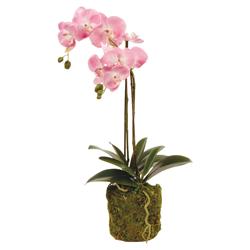 Angel French Country Pink Phalaenopsis Orchid Drop In Faux Floral - Small