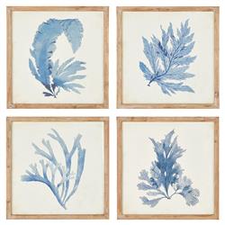 Nyla Coastal Beach Brown Floral &amp; Botanical Natural Frame Painting