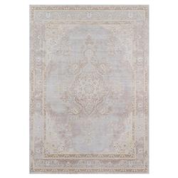 Esme French Country Distressed Grey Medallion Patterned Rug - 4'x6'