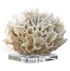 White White Ribbon Coral on Crystal Base