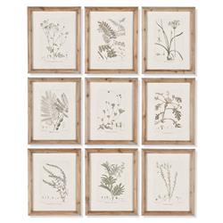 Ling French Country Brown Floral &amp; Botanical Natural Frame Illustration