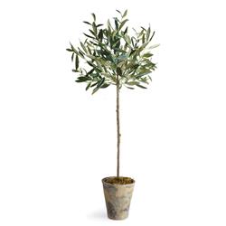 Ryan French Country Beige Ceramic Potted Olive Tree - Small