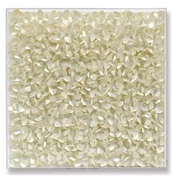 Palecek Coastal Adrift Off White Coco Wood Nature Acrylic Frame Mixed Media